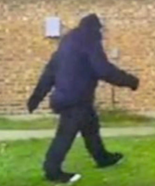 Bigfoot aficionado and author Leroy Blevins (who died in 2018) made a suit himself which looked pretty good. If the muscles and pelt were more realistic, and if the lighting was more co-operative, I wonder if his suit would pass for the real thing.