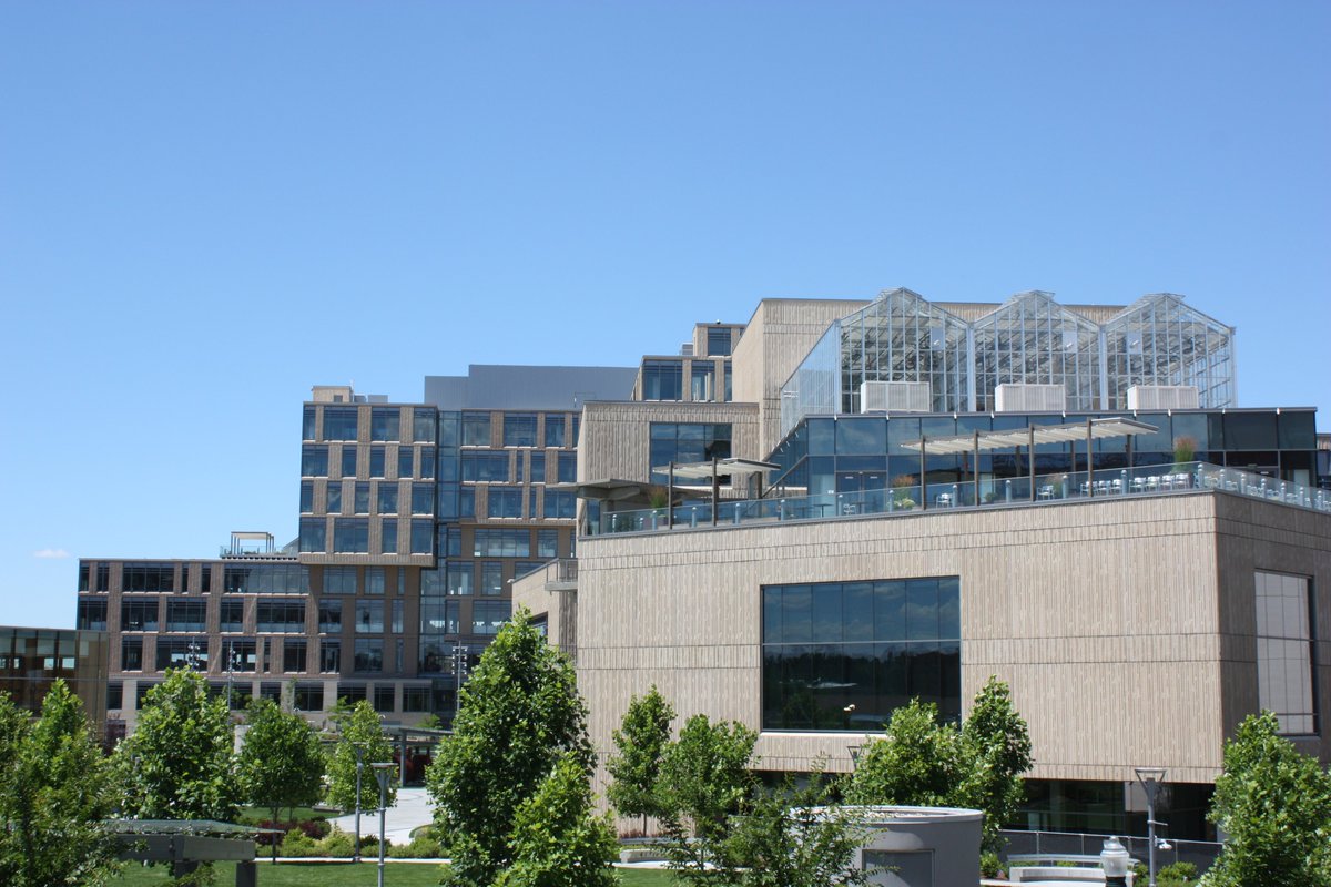 oi_group's tweet photo. Simplot HQ houses 800+ employees in a beautiful 9-story building in downtown Boise. Completed in 2016 with a combined 320,000 square feet, the cabling infrastructure we provided surpassed 1 million feet, including 800 strands of fiber and nearly 5,000 drops of CAT6A cable. #TBT https://t.co/UTaAgfdkPD