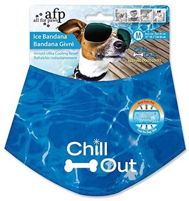 JugDogCo's tweet photo. As a species, dogs are not great at dealing with heat and cooling themselves off so as owners we need to help them recognise the signs and give them everything they need to stay hydrated and cool. https://t.co/wzttTRnhiV https://t.co/7uMTsmJk5e