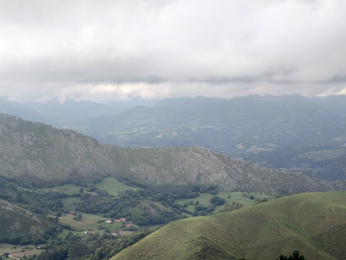 Bona nit tropa ...........