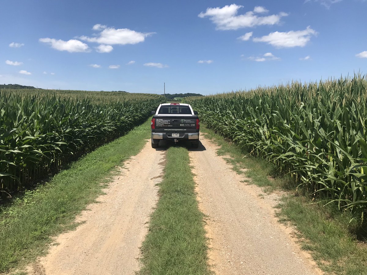 PAGChicks's tweet photo. Photos from @PAG_JWamble our Tennessee agronomist! #precisionag #crop2020 https://t.co/oRWqKEiSOO
