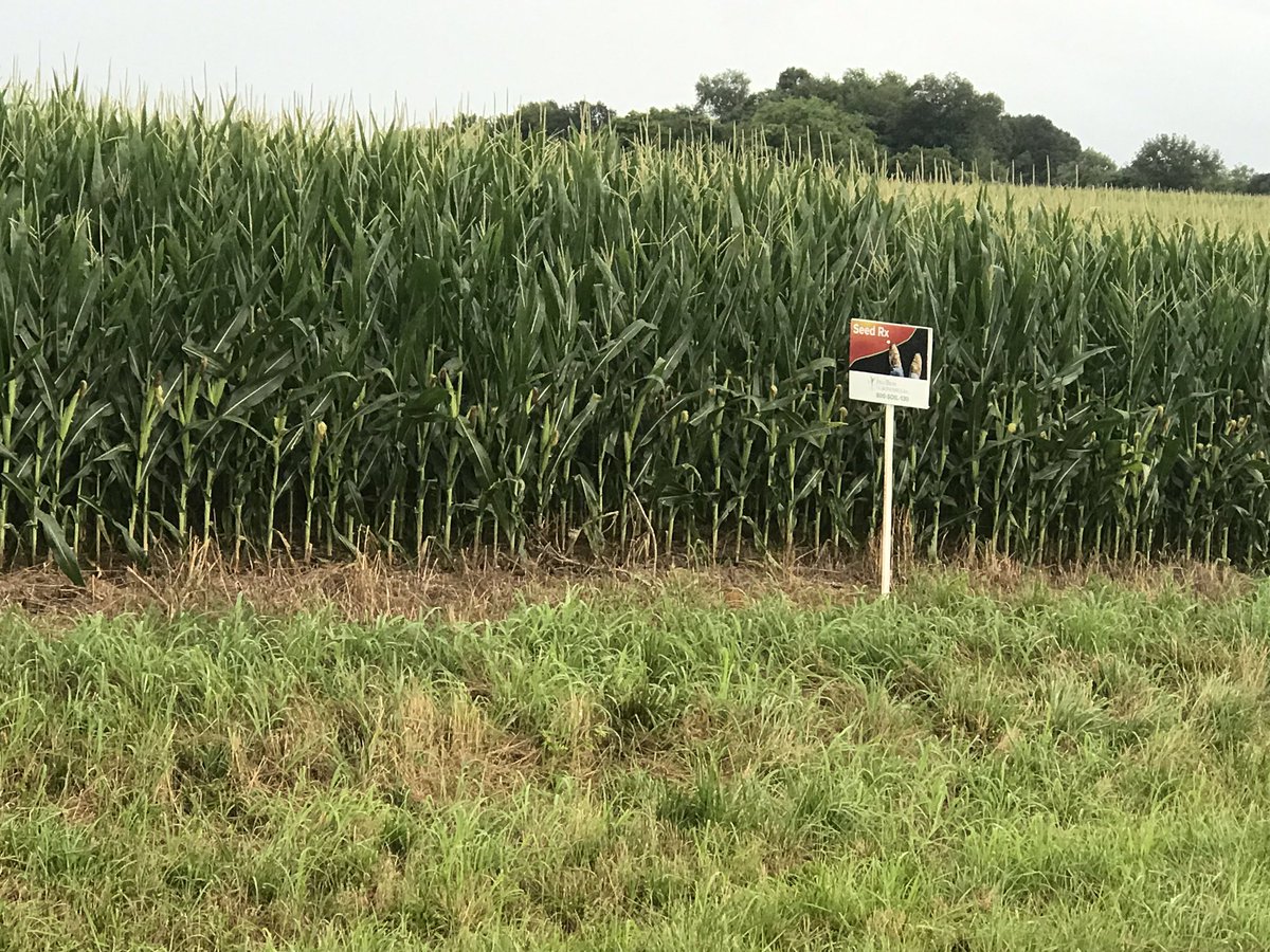 PAGChicks's tweet photo. Photos from @PAG_JWamble our Tennessee agronomist! #precisionag #crop2020 https://t.co/oRWqKEiSOO
