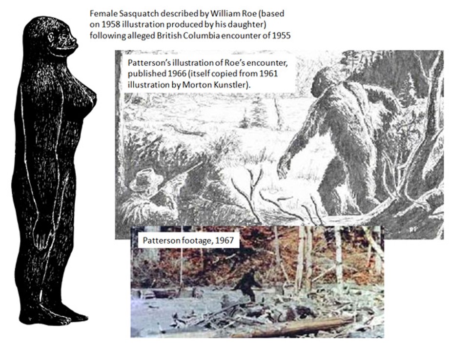 In 1966, Patterson drew (for his book on  #Bigfoot) a scene where a hunter with a gun is watching a female Bigfoot cross a clearing. Patterson’s drawing was a copy of an illustration by Mort Künstler, done for an article by Ivan Sanderson. It depicts the William Roe encounter.