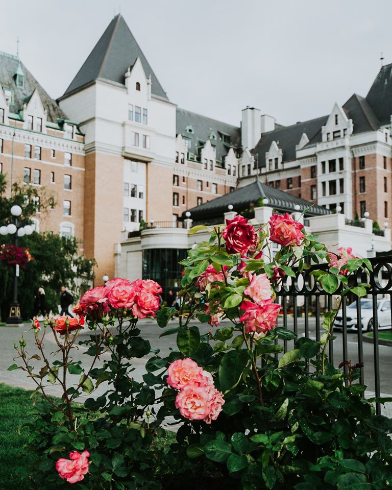 HarbourAirLtd's tweet photo. A place where you can stop and smell the roses...literally!🌹

Victoria is known as the City of Gardens and it sure lives up to it's name! Hosting an annual flower count with blooms totaling in 3.4 billion in 2018! It's the perfect place to stop &amp; appreciate sights and smells!🌺 https://t.co/525sQBid8L