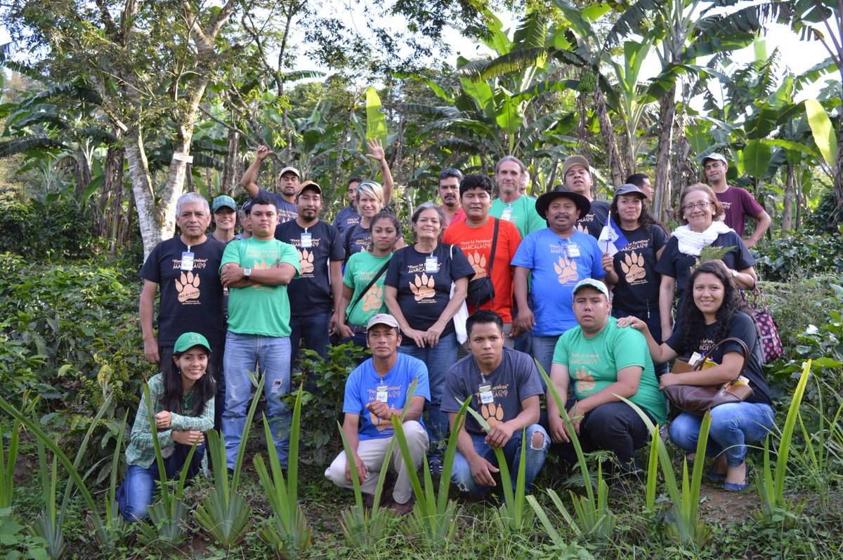 Specialty Coffee Association tweet media