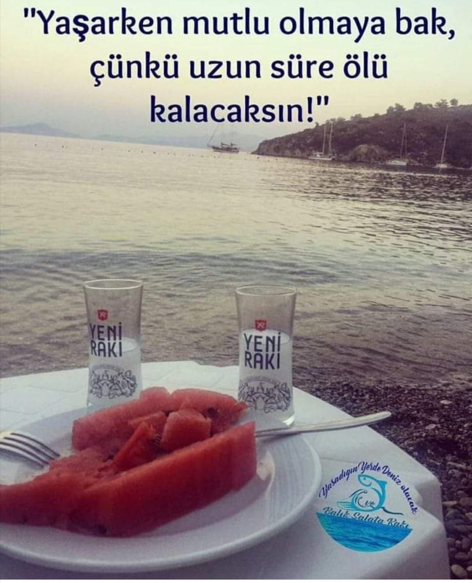 Tanem Emir (@tanem_emir) on Twitter photo 