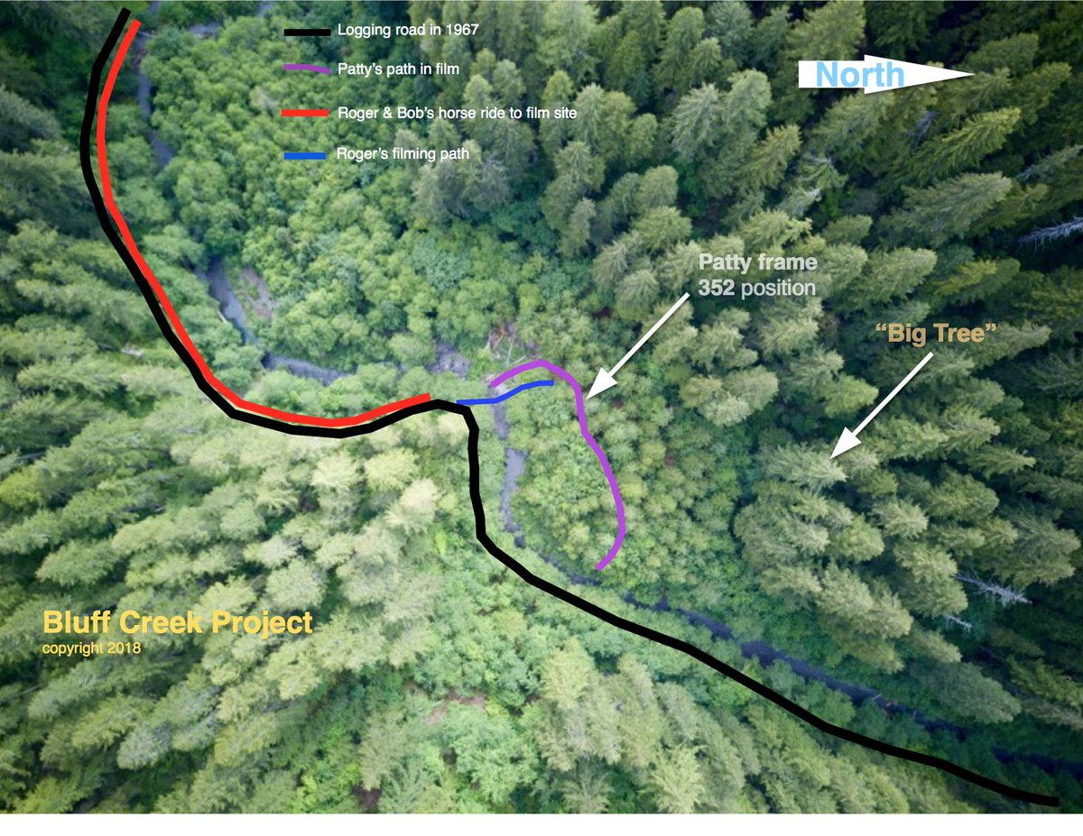 Since about 2011, a group forming the Bluff Creek Project have relocated the site (as proved by the position of tree stumps, snags and so on) and mapped it. A book is in preparation. Remember that the site is seen as Ground Zero for many in the  #Bigfoot research community.