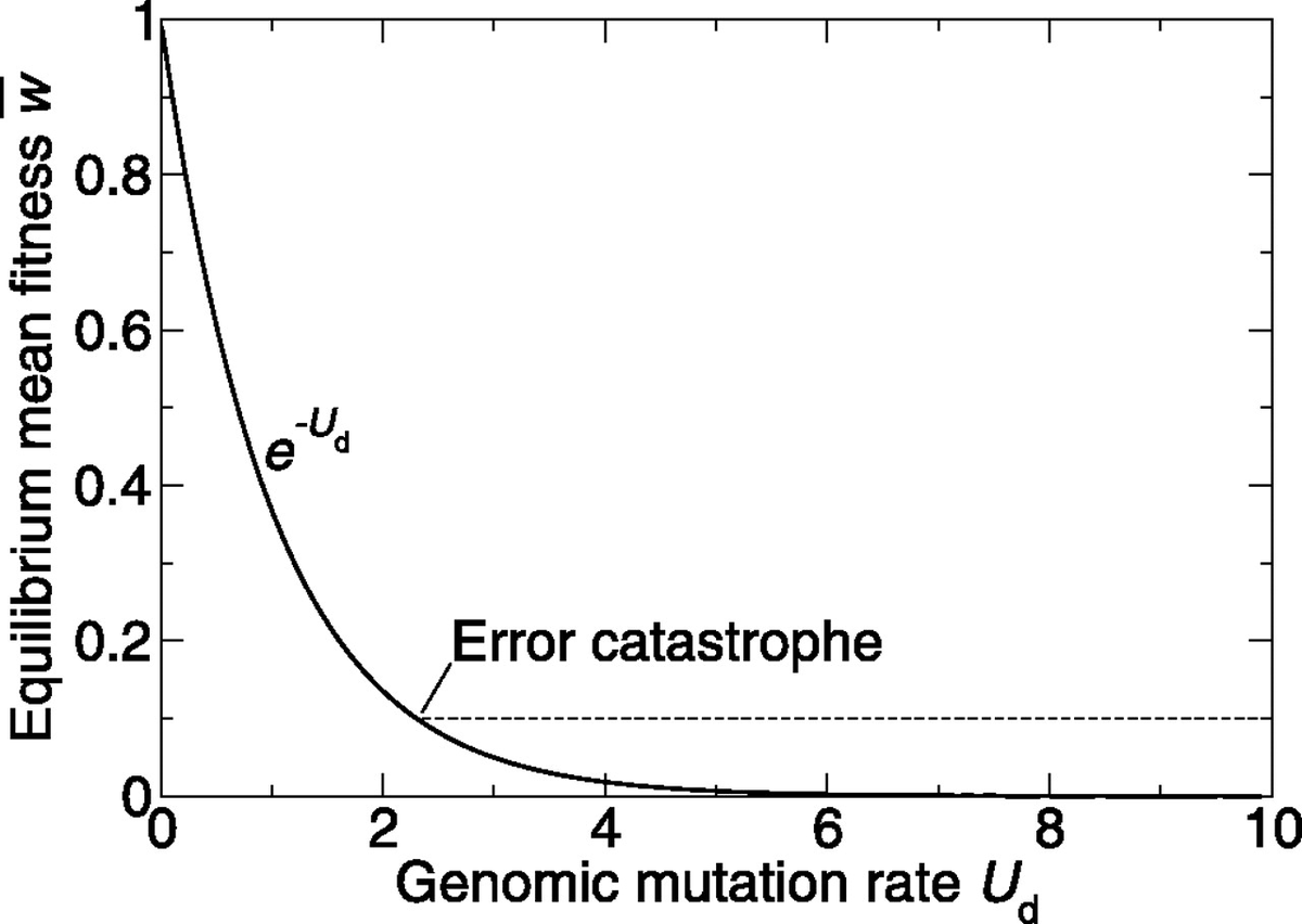 First, the Error Catastrophe (EC). To conceptualize an EC, imagine pouring a "slippery" substance upon an AL, such that it becomes more difficult to climb via selection, and also more difficult to maintain any advantageous position.This feature emerges from replication error.