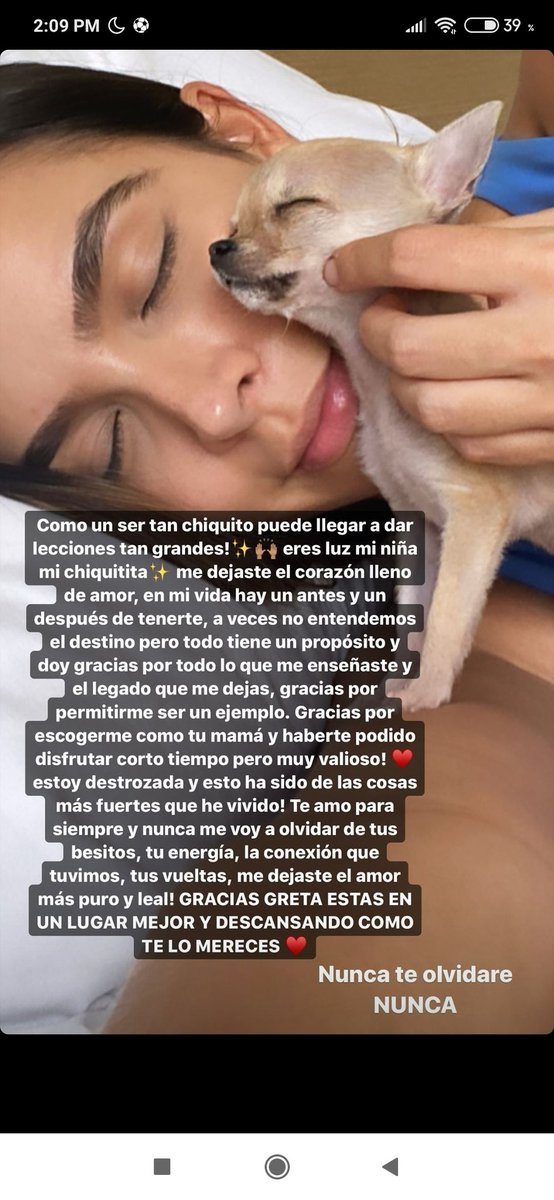ml201817's tweet photo. NOOOOOOOOOOOOOOOOOOOOOO  POR QUÉ?????????? #RIPGreta te extrañaremos https://t.co/MZeo05yjok