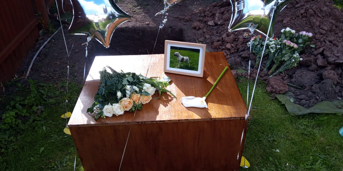 williamseivwrig's tweet photo. Cracking funeral to send our beloved off. Gone but not forgotten #ripcaesar https://t.co/tMRivuhG95