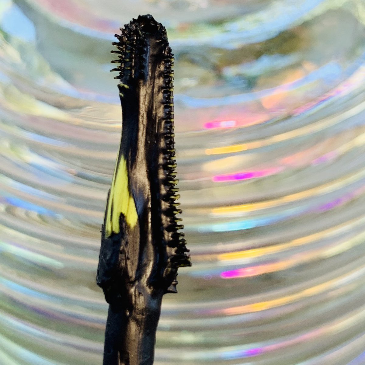 Look at the wand up close for @UrbanDecay’s new #LashFreak mascara. It really gets in & works!