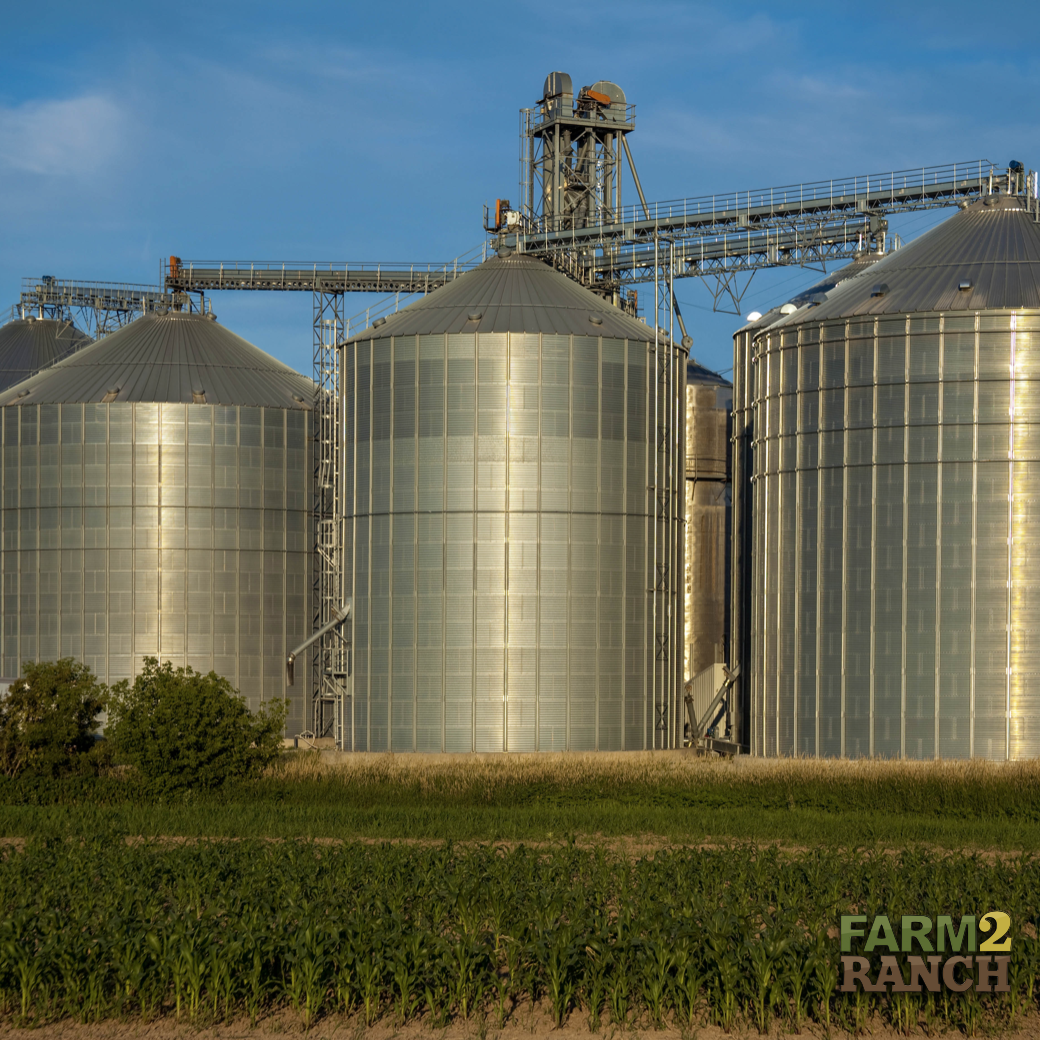 farm2_ranch's tweet photo. Iowa ranks #1 in corn and soybean production in the US!
#farm2ranch #usedag #agriculture #corn #soybean #letsgrowtogether https://t.co/CcVZsXSRrE