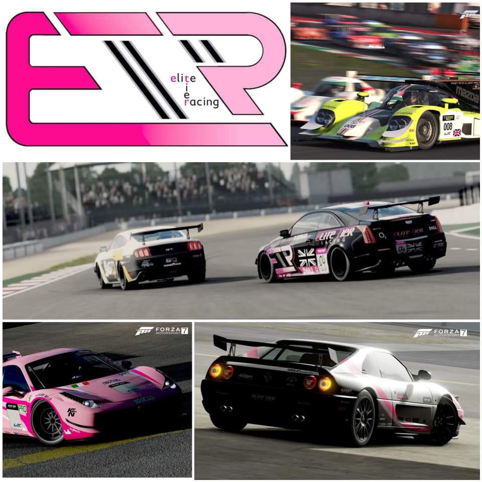 EMrmagik's tweet photo. #TBT all the great championships we ran in 2019😍 thanks to all and any who raced and race with us! #pinkisfaster https://t.co/qeJvJvOxlc