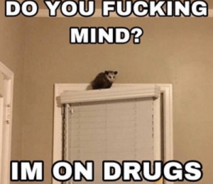 Sodi Do You Fucking Mind Im On Drugs T Co 75fkf6edcc Twitter