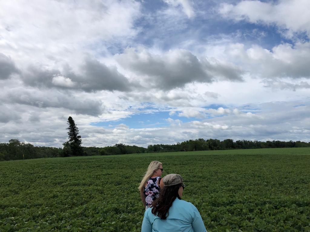 SevitaWest's tweet photo. Scouting with Intermountain Ag Supply at the soybean variety trial. SI 001XT looks like a top contender given its defensive package and lush canopy. @Sevita_PROSeeds @knuts14 #IntermountainAgSupply https://t.co/mGbU14BqAR