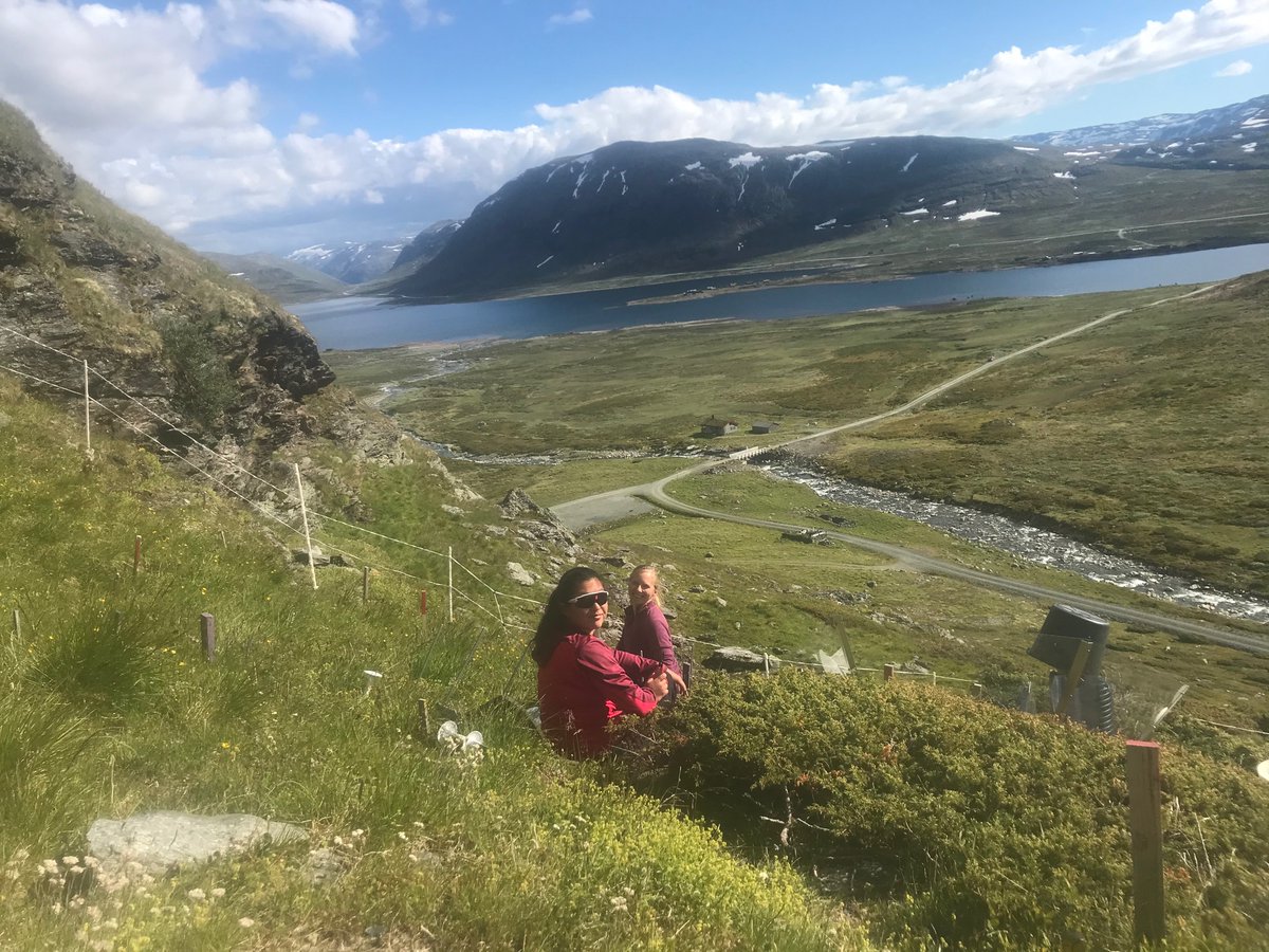 EgebergSolveig's tweet photo. Last day of removals in July with @RagnhildGya and @CamillaZernich1 ! Mmmm the satisfying feeling of a clean plot...
@BtwnTheFjords #incline #student #fieldwork #biology #plantscience #ecology https://t.co/7NCWAeUOjK
