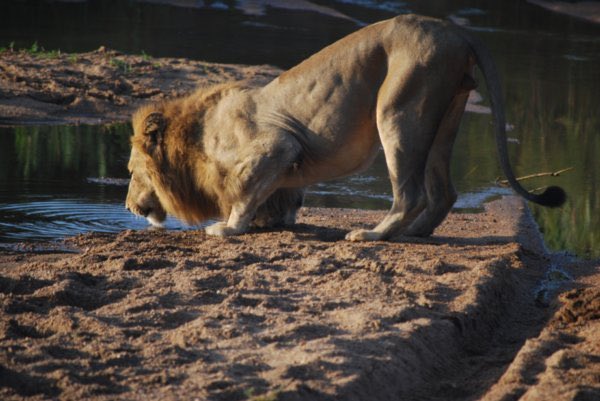 Delusions of grandeur https://t.co/Jsf5LINlLi