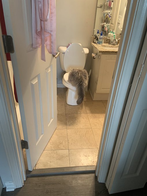 Delusions of grandeur https://t.co/Jsf5LINlLi