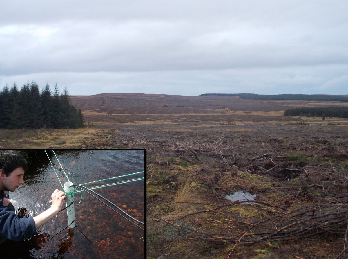 NEW PAPER from @ERI_UHI @rspbscience @Flowsresearch
Restoration of afforested #peatland: Immediate effects on aquatic loss - authors.elsevier.com/a/1bLroB8ccoIAi
#ERIresearch #UHIresearch Flow Country