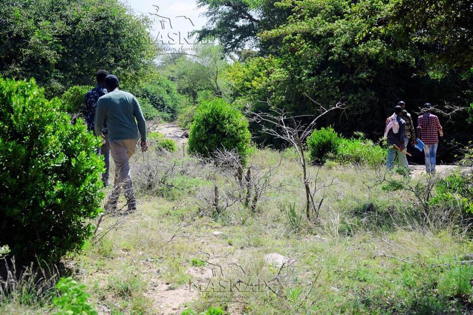 Mohamed_Shucayb's tweet photo. Goonle Area, Sahil region
#trees #goonle #masnadtourism #gobolkasaaxil #somaliland #justjoinus #colorfultrees #spring #tourism #2k20 https://t.co/uul9vV9Gu5