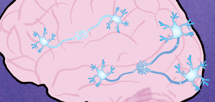 NStevenson's tweet photo. Students have asked me why don't their heads get bigger or explode when they learn new things... Now I can answer: Competitive Brain Space. The brain keeps pathways that you are using. Then when you don’t use the pathways, they fade away. @joboaler #datascience4all https://t.co/t08pypql8S