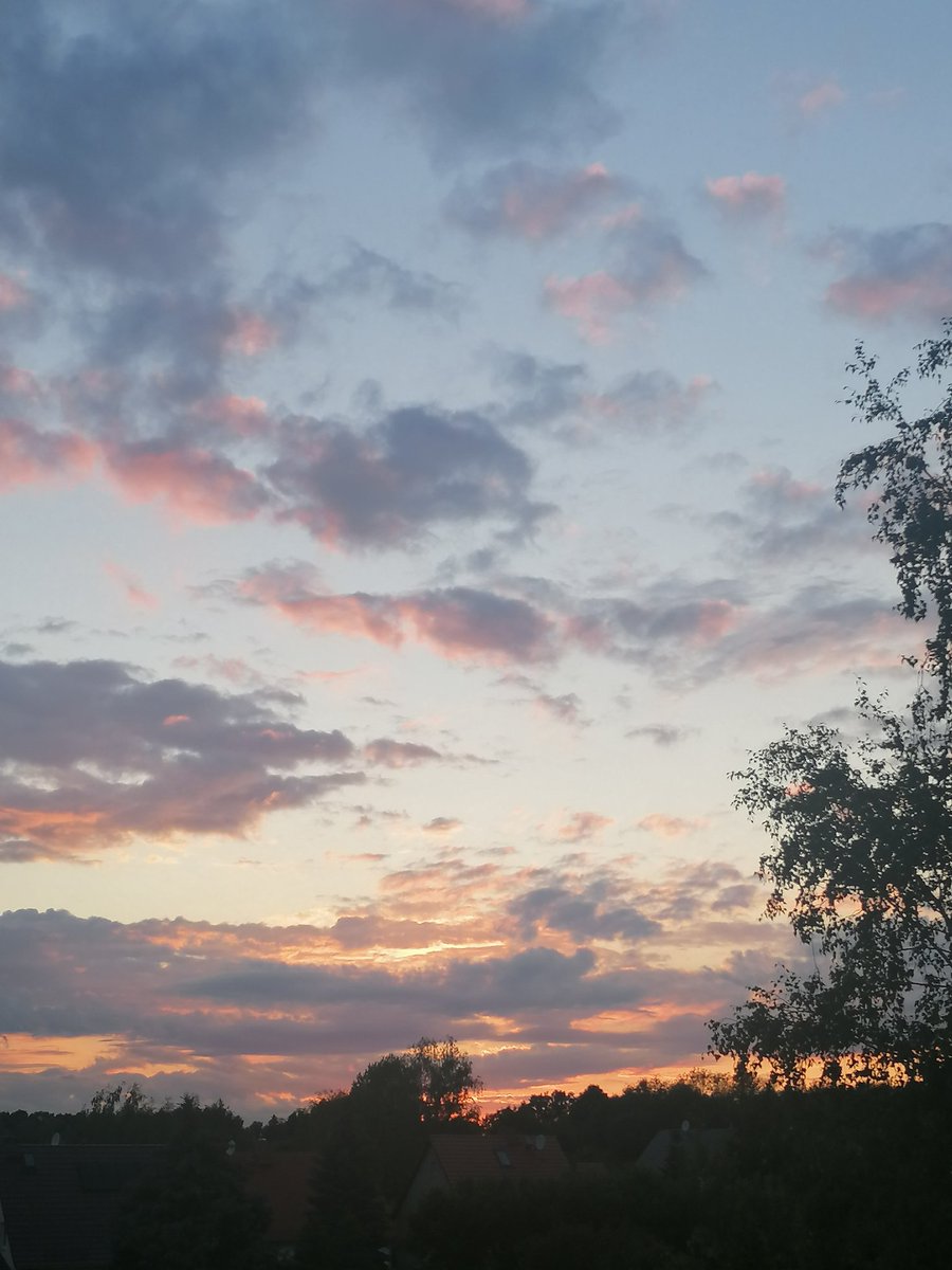 ghost__kittie's tweet photo. Today's #sunsetappreciation β€οΈ https://t.co/kgVeQBlMfT