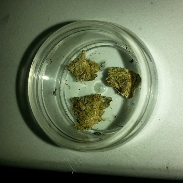 BeuhFrance5's tweet photo. 🔥 WhatsApp// +33 758048531
🔥 Snap // weed.8906
#Montmartre #Montreuil #Montrouge #Nanterre #Antony #Bercy #Cachan #Champigny #Chatillon #Colombes #Drancy #Puteaux #Epinay #Fresnes #Ivry #Orly #Passy #Rosny #Vincennes #Vitry #Vanves #Suresnes #Rungis #Romainville #nantes #tours https://t.co/DgpoITMAEU