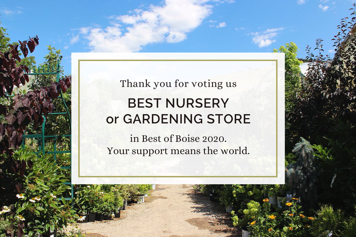 EdwardsGH's tweet photo. We want to say a huge THANK YOU for voting us Best Nursery or Gardening Store in Best of Boise 2020! https://t.co/FWYIfUPMsY