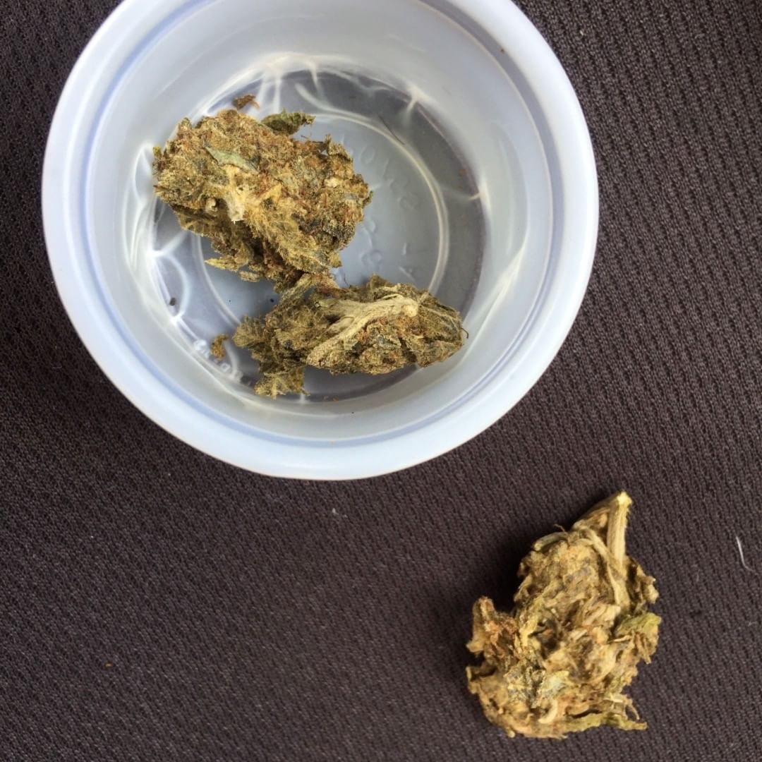 BeuhFrance5's tweet photo. 🔥 WhatsApp// +33 758048531
🔥 Snap // weed.8906
#Cassis #Lerove #Gemenos #Marignane #Allauch #Laciotat #Coudoux #Martigues #Miramas #Aixenprovence #Provence #Avignon #Arles #Istres #mulhouse #annecy #Malakoff #saintetienne #Reims #Bayonne #mayotte #louvre #dijon #concarneau https://t.co/snok5DSn23