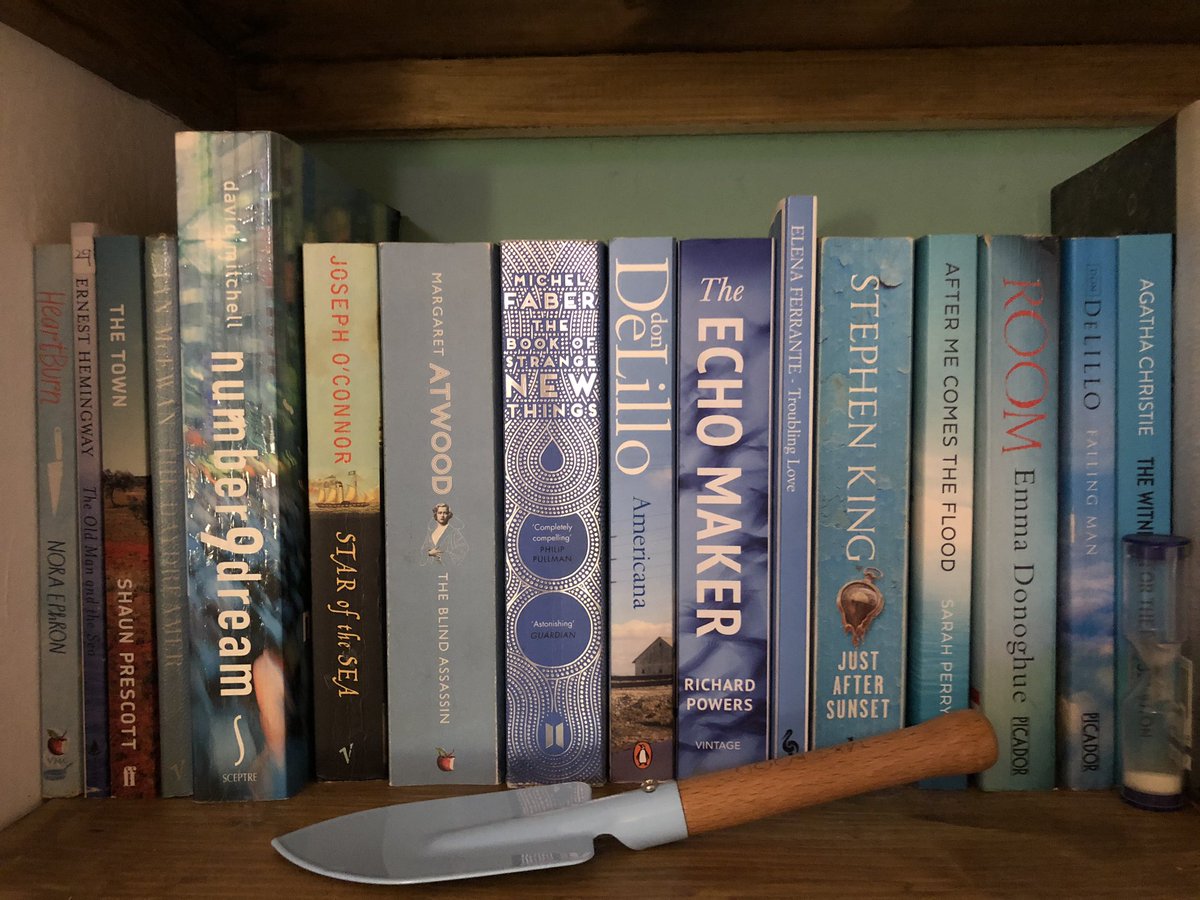 RichardA_Writer's tweet photo. Blue Shelfie #amreading #shelfie https://t.co/KOVrMeOHGe