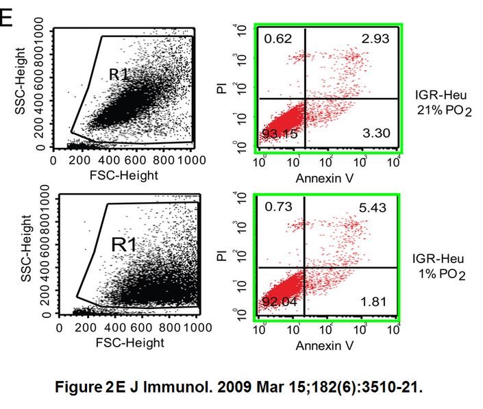 Thatsregrettab1's tweet photo. Since author Salem Chouaib doesn’t seem to care, and @Inserm never does, @J_Immunol, maybe you can give a gander at https://t.co/jUaLDKRgK7
#factfreescience https://t.co/fnvg4t8jV0