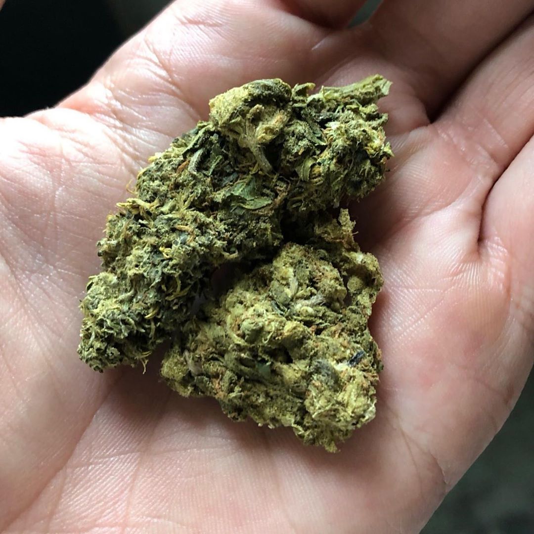 BeuhFrance5's tweet photo. 🔥 WhatsApp// +33 758048531
🔥 Snap // weed.8906

#Berthenay #Druye #Fondettes #Villandry #Luynes #Mettray #Tours #Savonnieres #Rochecorbon #Chambly #Beauvais #Limoges #Laval #saintetienne #saintgratien #concarneau #Bayonne #mayotte #louvre #dijon #auvergnerhonealpes #tourscity https://t.co/WGBswZuEBJ
