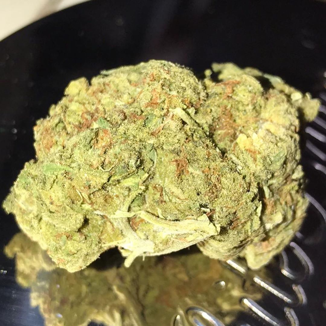 BeuhFrance5's tweet photo. 🔥 WhatsApp// +33 758048531
🔥 Snap // weed.8906

#Berthenay #Druye #Fondettes #Villandry #Luynes #Mettray #Tours #Savonnieres #Rochecorbon #Chambly #Beauvais #Limoges #Laval #saintetienne #saintgratien #concarneau #Bayonne #mayotte #louvre #dijon #auvergnerhonealpes #tourscity https://t.co/WGBswZuEBJ