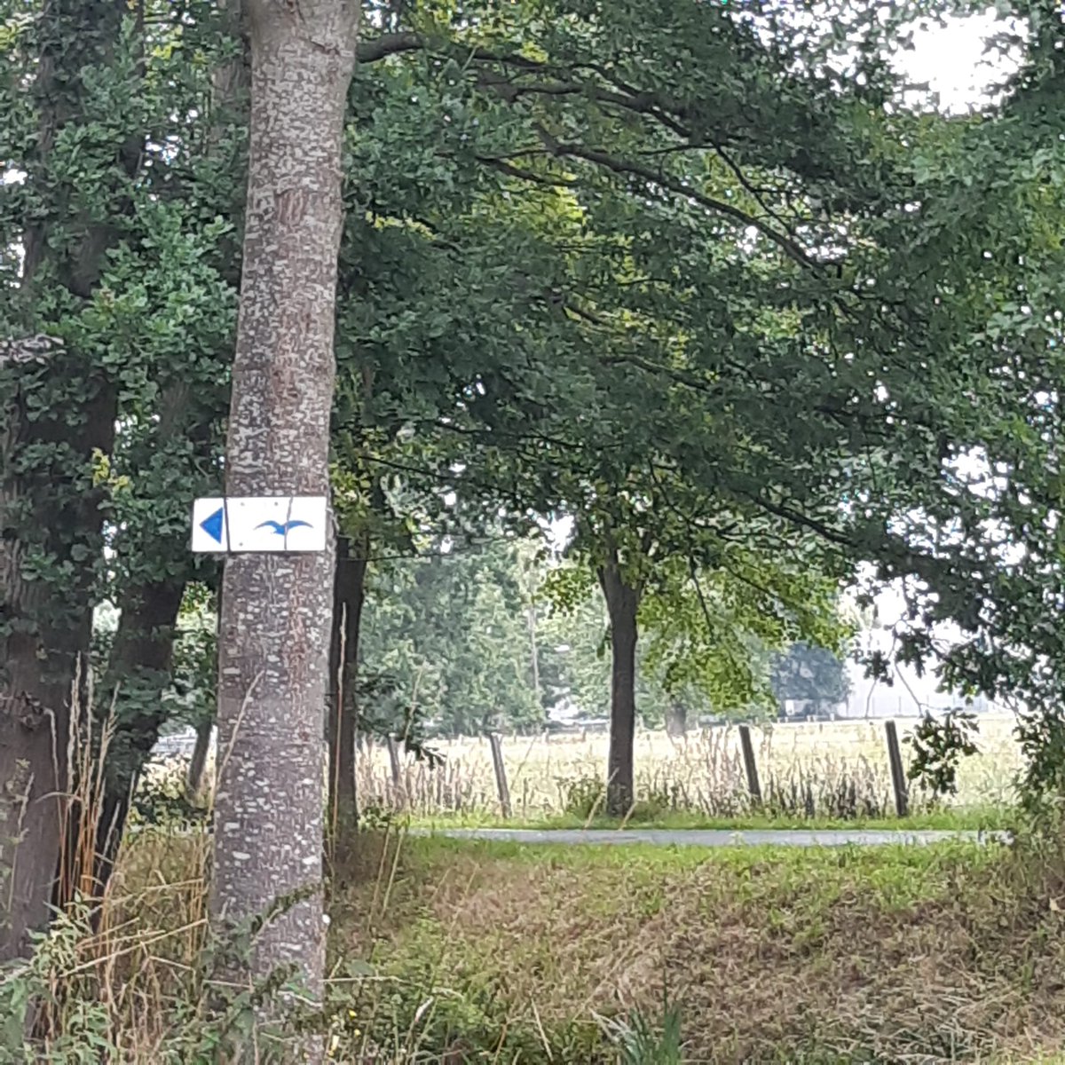 GemeenteZulte's tweet photo. De wekelijkse wandeling stuurt je deze week doorheen Olsene. Nog tot zondag kan je op stap voor een tocht van 7 of 11 kilometer. Vertrekken doe je aan de parking in de Kreupelstraat.
Meer info: https://t.co/lKY4scZ9ij
#wandelen #Olsene #OntdekZulte https://t.co/Ph2xnBXlna