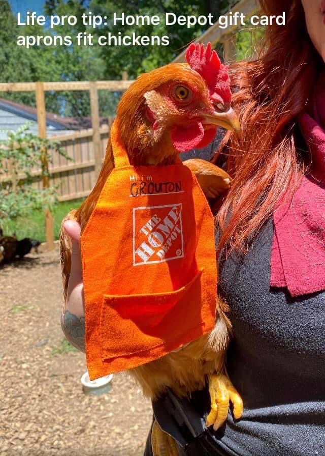 Every Home Depot should have chickens as therapy animals!! 😍 @THDWoodhaven @willdingman76