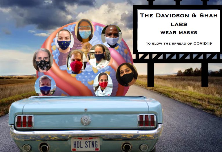 What’s the most responsible thing you can do during a pandemic? masking for a friend.  <a href="/cushiomt/">Melanie T. Cushion</a> <a href="/kengreis/">ken greis</a> <a href="/ameetchimote/">Ameet Chimote</a> <a href="/ThompsonLab3/">Tom Thompson Lab</a> <a href="/SusanWaltz_UC/">Susan Waltz_UC</a> #WhoWoreItBetter #MaskUp #passalongthemaskchallenge #WearADamnMask where’s <a href="/OKanisicak/">Onur Kanisicak</a> <a href="/sadayappanlab/">Sakthivel Sadayappan, PhD, MBA</a> <a href="/WohlebLab/">Eric S. Wohleb, Ph.D.</a> ??