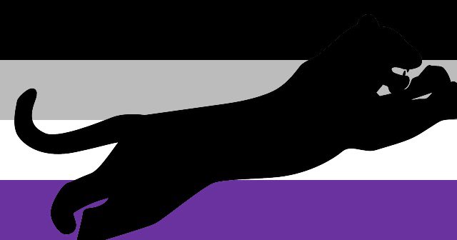 ace flag for black panther stans
