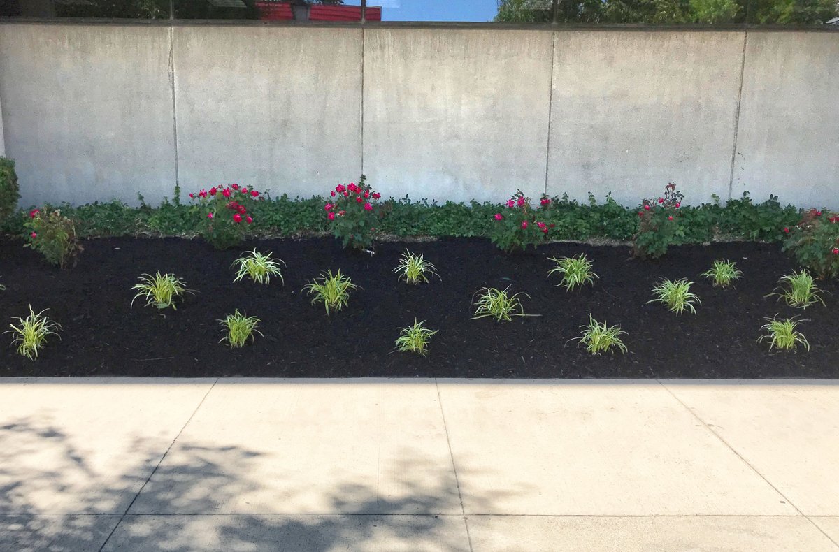 EvercorInc's tweet image. Throwback to this project we did for Highmark Inc. last month. Great work done by one of our original #TeamEvercor crew leaders, Dean! #TBT #WorkUninterrupted

#facilitymaintenance #facilitymanagers #facilitymanagement #landscaping #landscapedesign