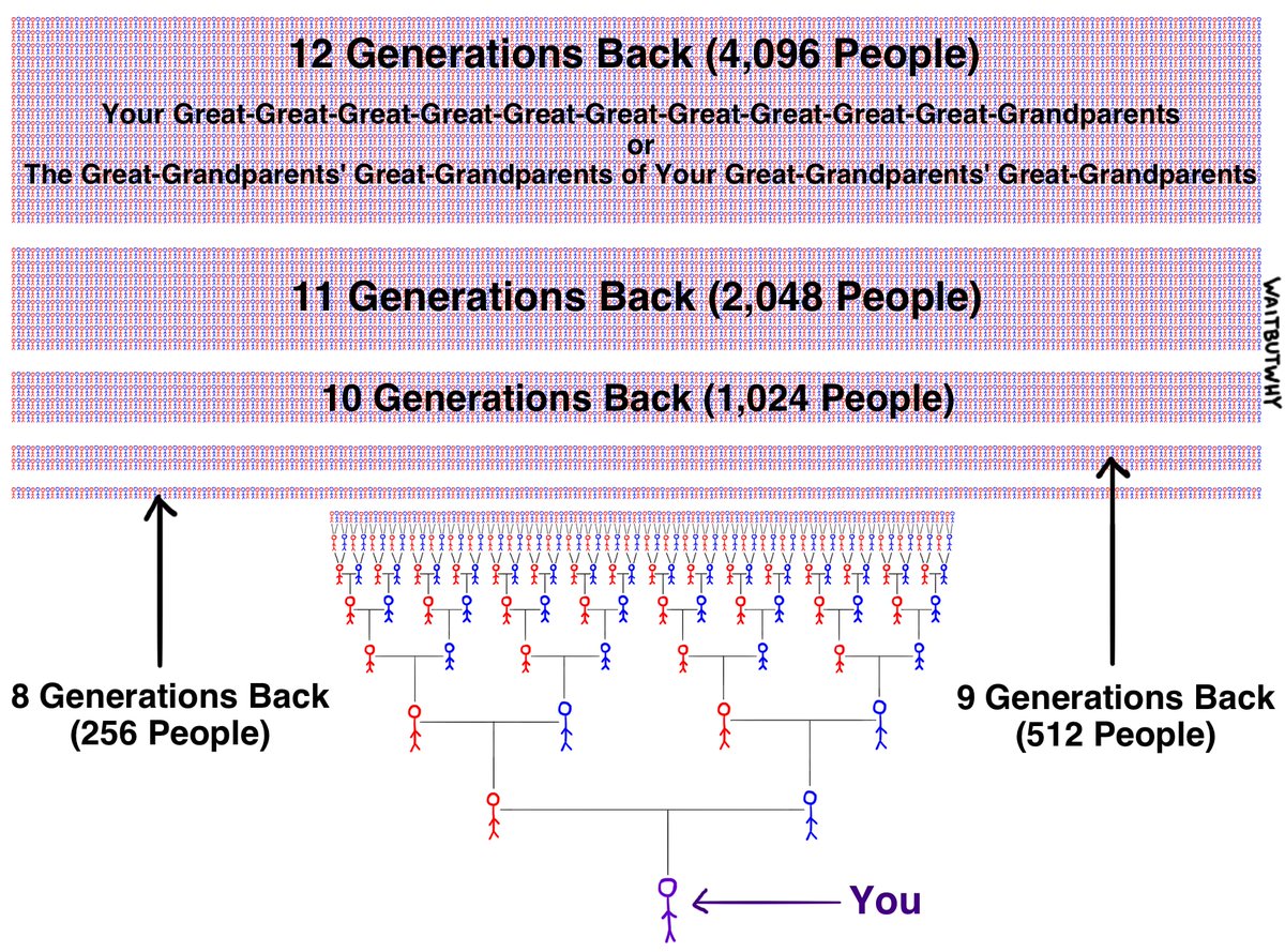 Of course if you keep going, things quickly get hectic. In the mid-1600s, you've got over 4,000 ancestors roaming the Earth. Some of them probably fucking hated each other. Also, now you're relying on 4,095 times people banged—if only 4,094 had happened, you wouldn't exist. 2/5