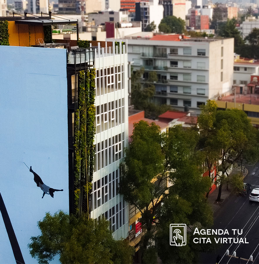 GDCdesarrollos's tweet photo. #GDCDesarrollos #WorkLabMonterrey https://t.co/tBbnUUY3Qm