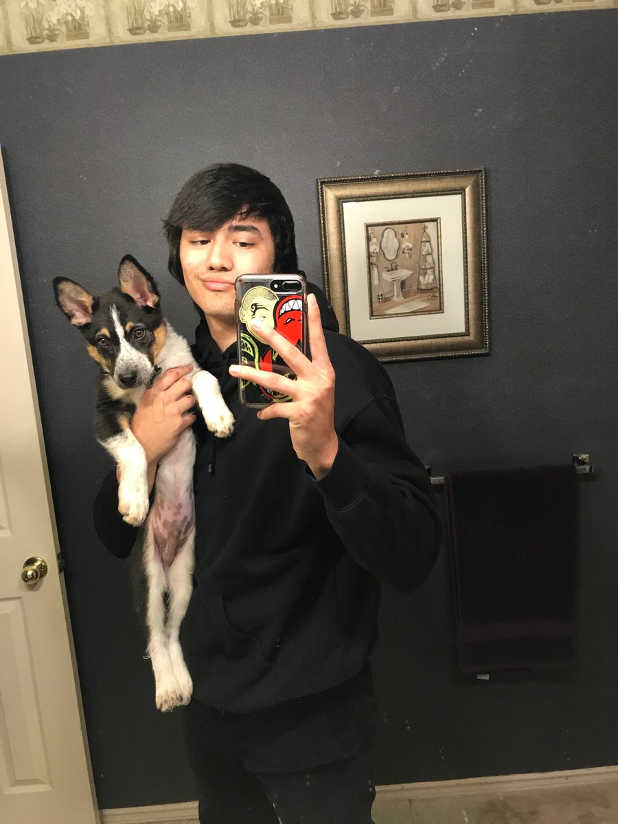 COLDASGABRIEL's tweet photo. Puppy Progression 🐕 https://t.co/QEO8Bnzakq