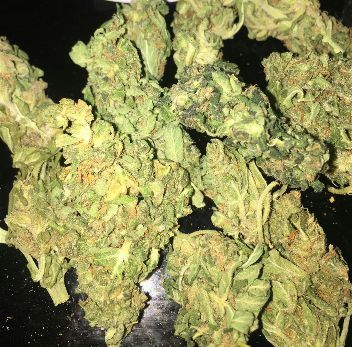 BeuhFrance5's tweet photo. 🔥 WhatsApp// +33 758048531
🔥 Snap // weed.8906

#Cassis #Lerove #Gemenos #Marignane #Allauch #Laciotat #Coudoux #Martigues #Miramas #Aixenprovence #Provence #Avignon #Arles #Istres #poitiers #nice #touraine #auvergne #Chantilly #Troyes #Toulouse #Lucon #Auchan #Vichy #Auxerre https://t.co/L5AxmoOMiT