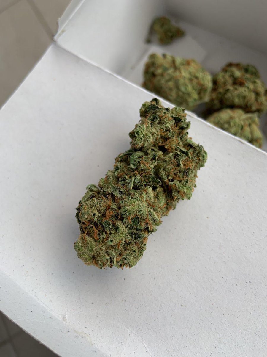 BeuhFrance5's tweet photo. 🔥 WhatsApp// +33 758048531
🔥 Snap // weed.8906

#Lambersart #Lompret #Perenchies #Premesques #Lezennes #Ronchin #Capinghem #Sequedin #Lamadeleine #Lomme #Calais #Cambrais #Tourcoing #Roubaix #Lille https://t.co/eI3c3Fh5x6