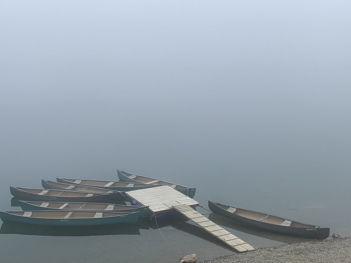 corinne_crabe's tweet photo. Brume sur le lac de Bious-Artigues par cette belle soirée d’été #moneteenbearn #ossau #pyrenees #lac #ayous #bious #chevaux https://t.co/K41bRHkkFX