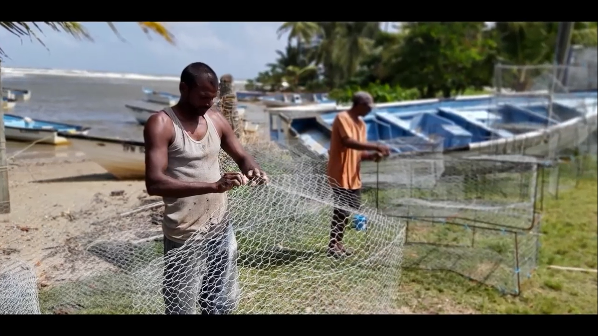 CANARICaribbean's tweet photo. In 2019, #FutureFishers received a #CarSIF small grant to assess market and environmental vulnerabilities, and recommendations for small-scale production of smoked and salted fish on Trinidad’s East coast including the communities of Guayaguayare, Mayaro and Toco.

#PISCES https://t.co/3HHO0ScbTc