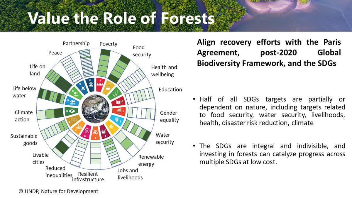 Haoliang Xu tweet media