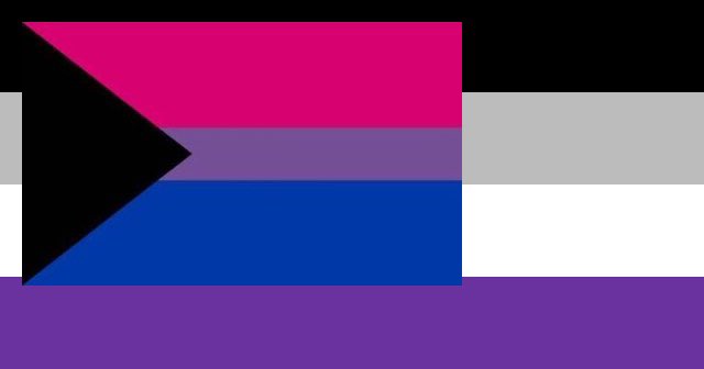 enby biroace flag ft me the editinf god