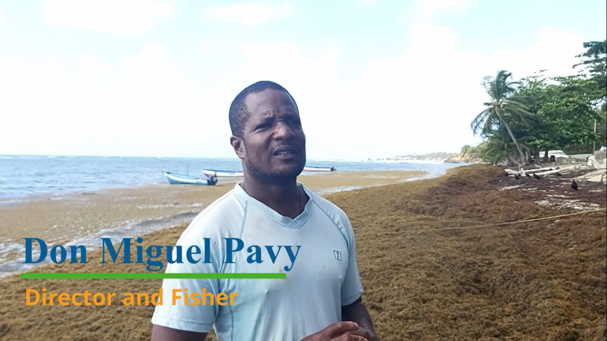 CANARICaribbean's tweet photo. Despite COVID-19 restrictions, #FutureFishers continues to do great work and is on track to complete the project soon. 

CANARI established #CarSIF under #PISCES to address priority needs &amp; actions on governance &amp; management of marine &amp; coastal resources https://t.co/afGJBevfTJ https://t.co/RMSKJX4hFV