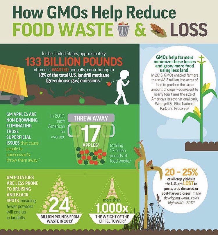 Carptorlocal's tweet photo. How genetically modified organisms (GMOs) help reduce food waste and loss. #foodwaste #foodloss #food #Sustainability #planetearth https://t.co/yqWGHpcvpB
