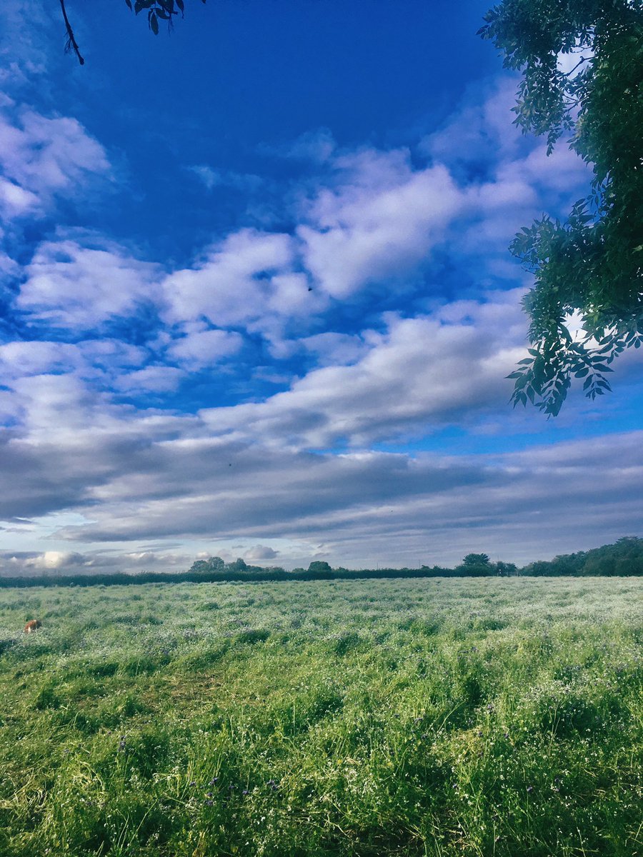 natashaeunice_'s tweet photo. So I have survived my first group run tonight with a lovely local group of ladies from RunBuds. I was THE WORST but  managed 4.46 miles and some lovely views along the way. Time to pass out now... 😅 #thesweatisreal https://t.co/1ziBnuMZ1d